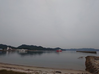 今朝は曇り空