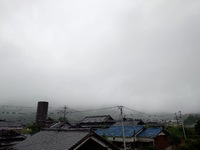 今朝も雨 2024/06/28 09:33:33