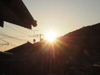 日の出も目覚めも早くなった 2024/06/05 07:38:33