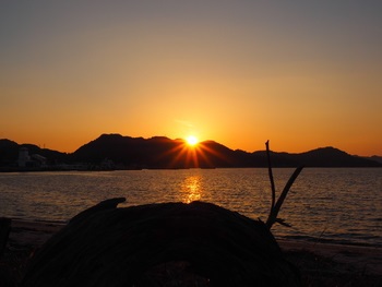 2017年初夕陽