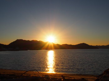 夕方の散歩