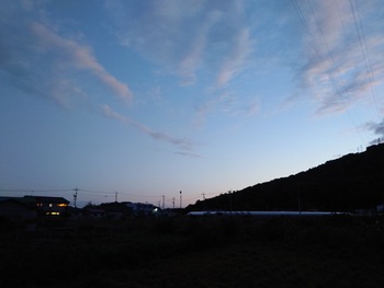 今朝は、お墓参りコース
