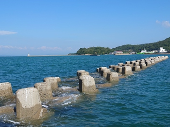 本日の釣果