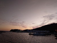 風が冷たい朝 2024/10/11 09:17:36