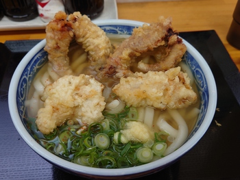 本日は「吾里丸2」でうどん