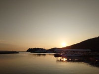 今日も暑いんだな 2024/07/06 08:01:53
