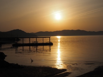 夕方の散歩