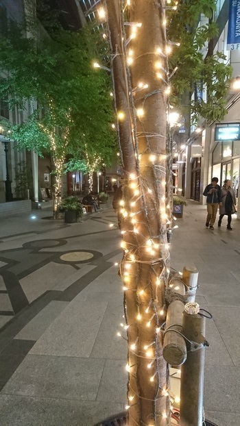 まっすぐ帰ろ