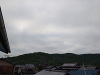 芯が折れなければまた立ち上がれる 2024/06/10 07:52:32