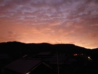 今朝はそんなに寒くなかった 2024/10/22 10:02:35