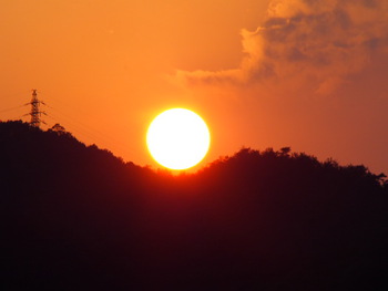 夕方の散歩
