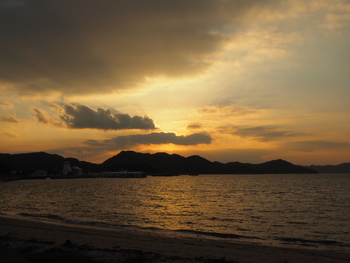 2023年初夕方散歩