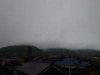 今朝は雨 2024/05/28 08:03:31