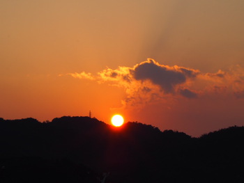 夕方の散歩