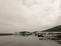 今朝は雨のち曇り 2024/07/15 08:52:15