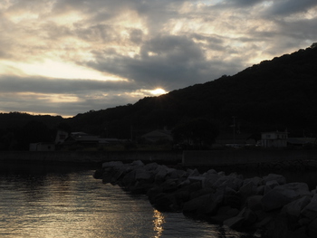 今朝は、曇り空