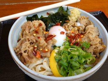 久々の綿谷さんでうどん