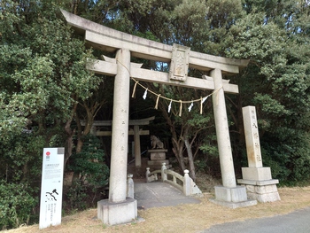 釣りに行けないので