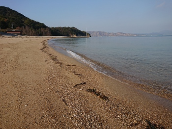 砂浜を散歩