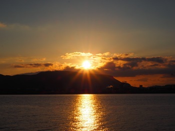 眩しい朝