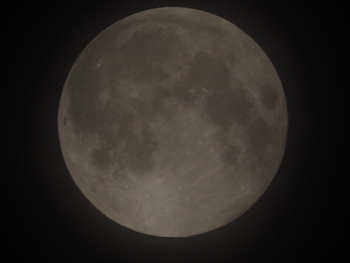 今夜はスーパームーン
