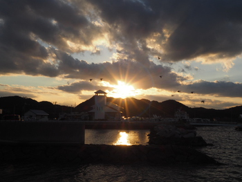 今夕の散歩
