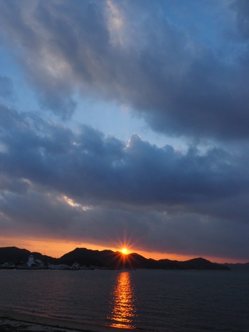 夕方の散歩