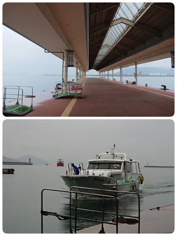 雨の中、実家(豊島)へ