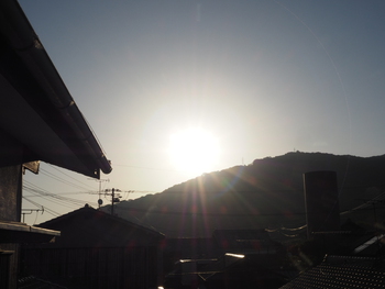 眩しい朝陽に感謝