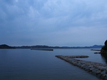 夕方の散歩