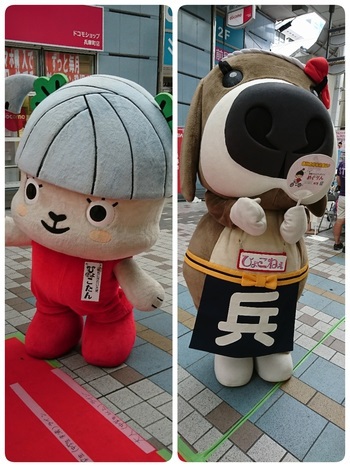 ひょこタウンモールサマーフェスタ2017