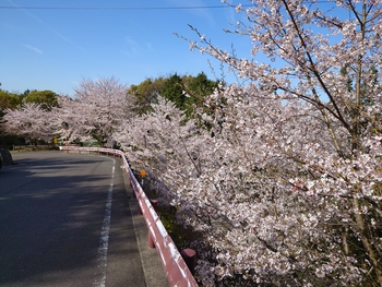 八栗さんお朔日参り