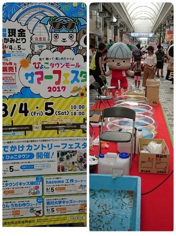 ひょこタウンモールサマーフェスタ2017