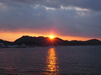 夕方の散歩