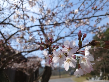 来週末かな