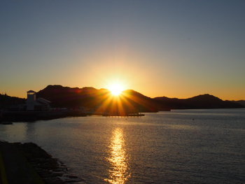 夕方の散歩