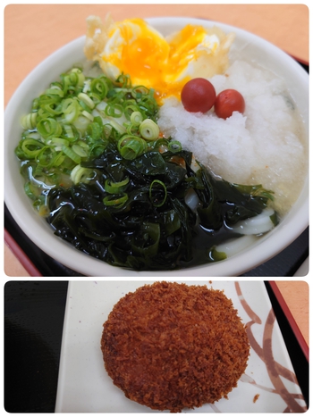 冷たいうどん出エネチャージ