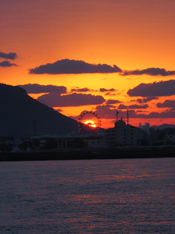 目覚めの朝陽