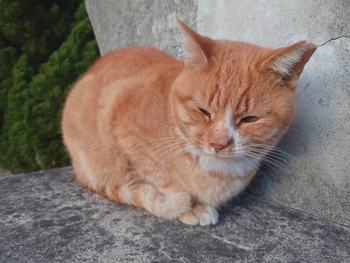 高松へ帰ります。
