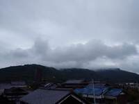 今朝も雨 2024/10/04 09:49:59