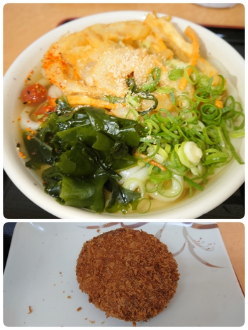 久々のお昼外食はうどん