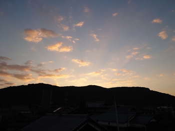 今日は秋晴れ
