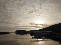 午後から雨予報 2024/06/22 08:33:51