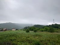 八幡さんへお朔日詣り 2024/06/01 10:13:56