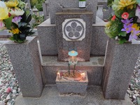 本日はお彼岸の最終日 2024/09/25 08:12:41