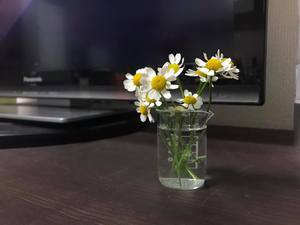 花一束買う