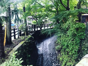 毎日が記念日