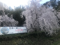 徳島県神山町   おでかけ〜美味しい編〜