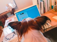 カフェのメニューが新しくなります！