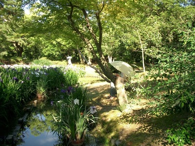 RITSURIN, IRISES & a  CLOSER VIEW